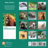 image Baby Animals 2025 Wall Calendar First Alternate Image width="1000" height="1000"