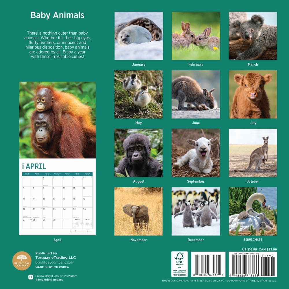 Baby Animals 2025 Wall Calendar First Alternate Image width="1000" height="1000"