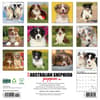 image Australian Shepherd Puppies 2025 Wall Calendar First Alternate Image width=&quot;1000&quot; height=&quot;1000&quot;