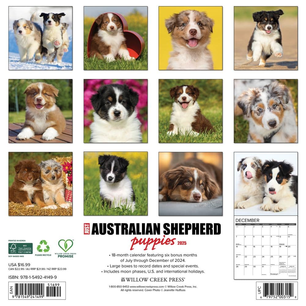 Australian Shepherd Puppies 2025 Wall Calendar First Alternate Image width=&quot;1000&quot; height=&quot;1000&quot;