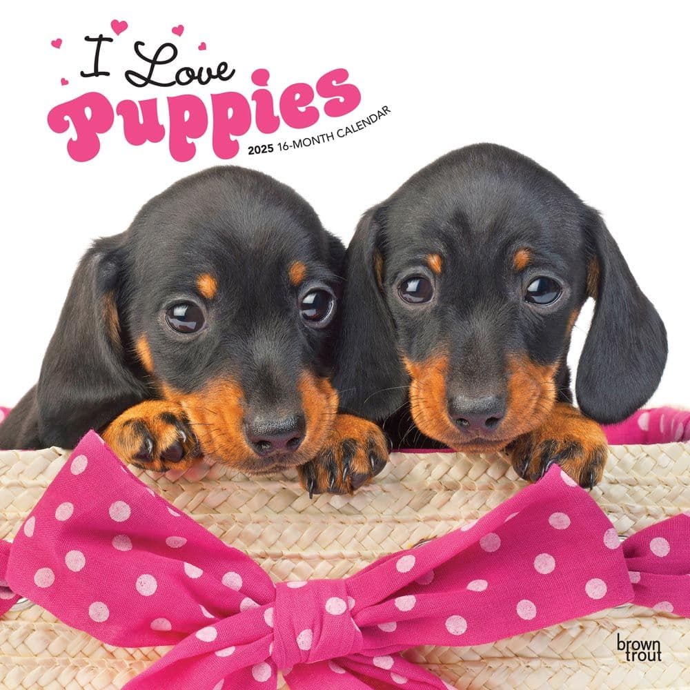 Puppies 2025 Wall Calendar