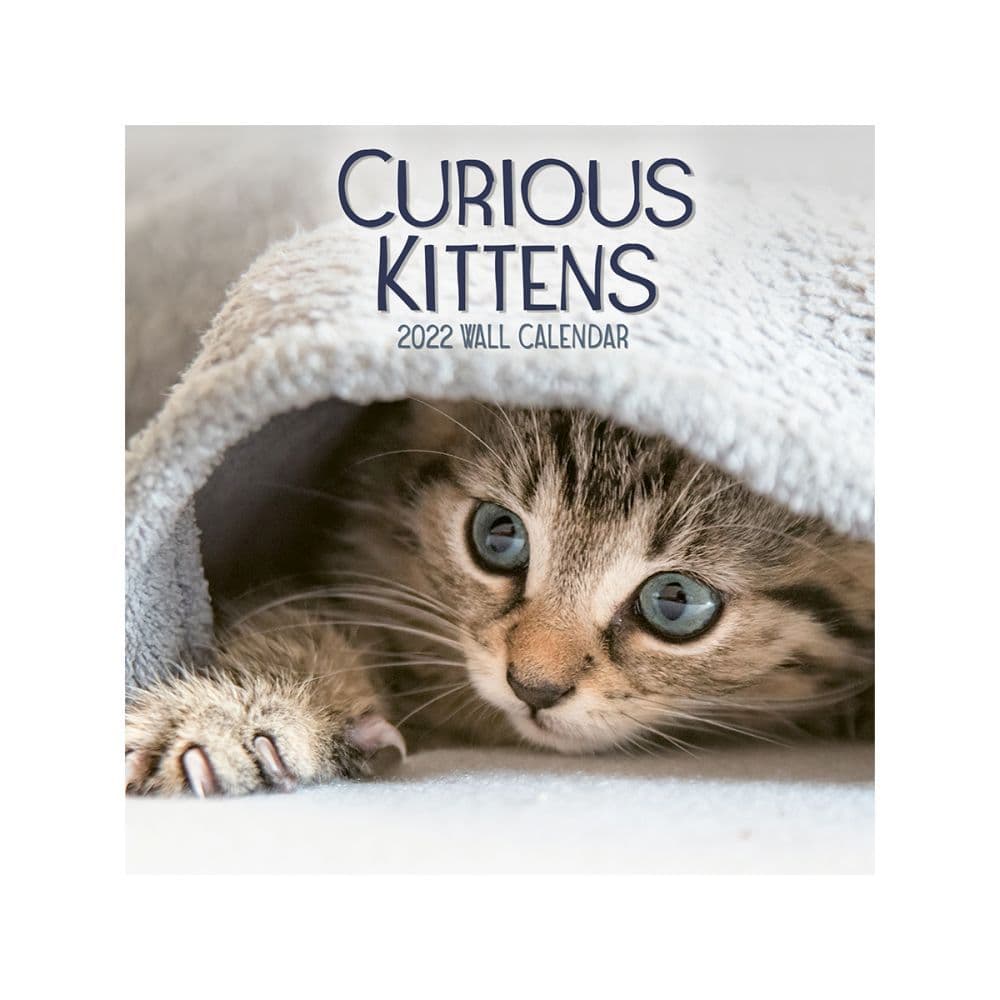 Curious Kittens 2022 Mini Wall Calendar SV
