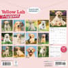 image Just Yellow Lab Puppies 2026 Wall Calendar First Alternate Image