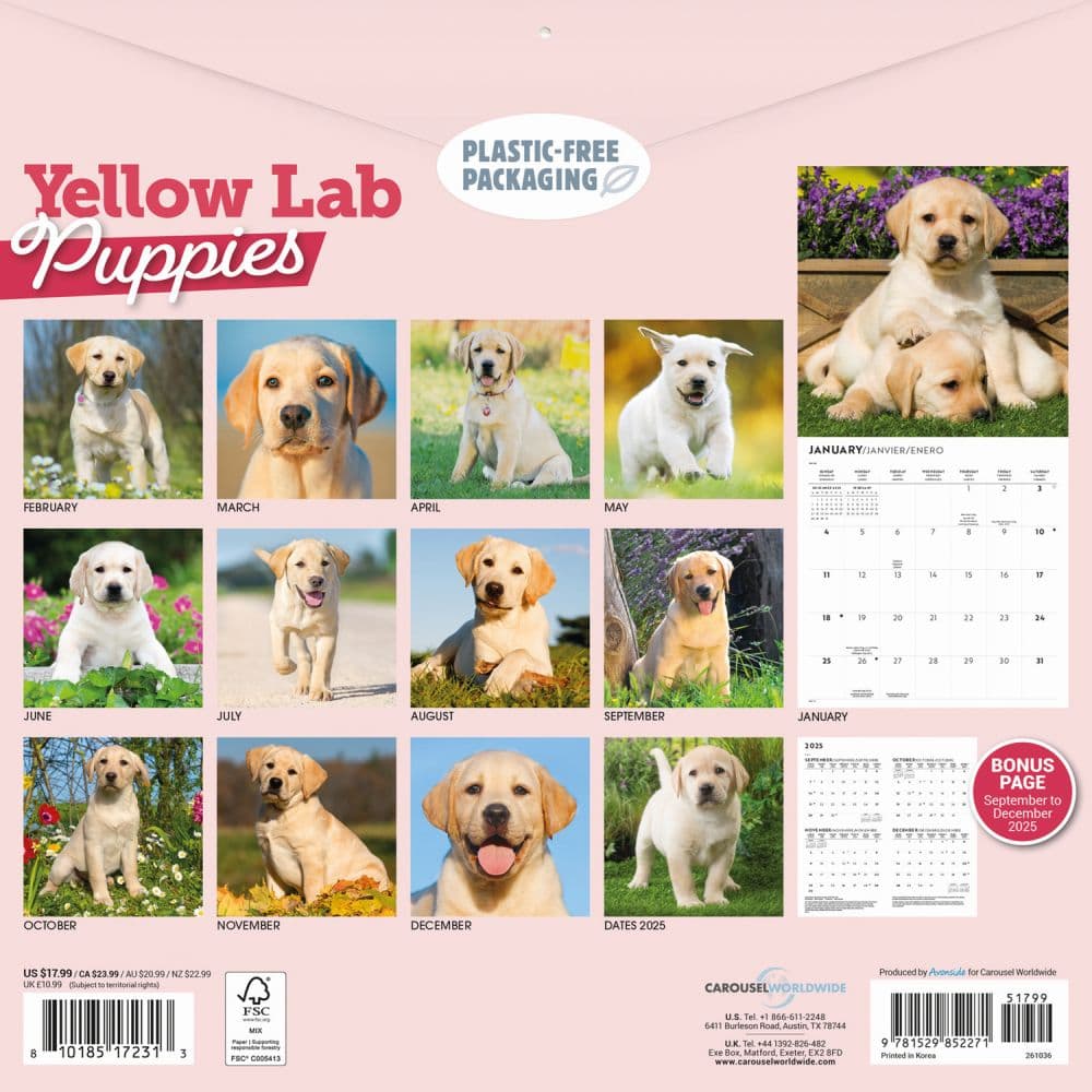 Just Yellow Lab Puppies 2026 Wall Calendar First Alternate Image
