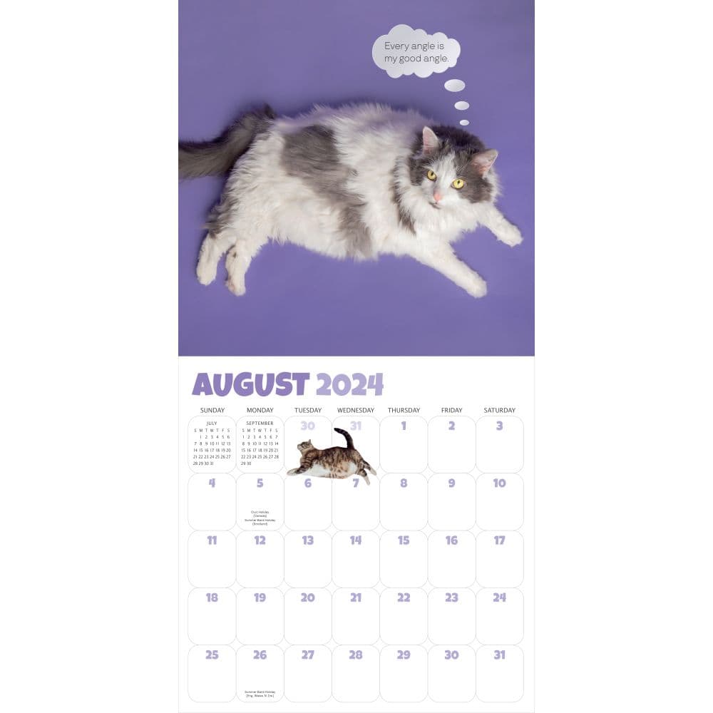 Chonkers 2024 Wall Calendar Second Alternate Image width=&quot;1000&quot; height=&quot;1000&quot;