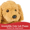 image Muttsy Dog Plush 14 inch Fourth Alternate Image