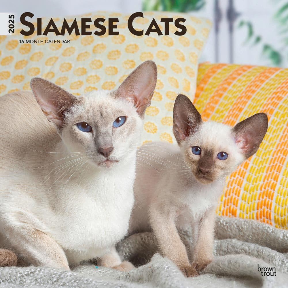 Siamese Cats 2025 Wall Calendar