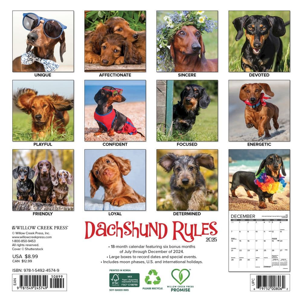 Dachshund Rules 2025 Mini Wall Calendar First Alternate Image width="1000" height="1000"