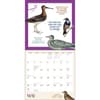 image Effin Birds 2026 Wall Calendar Third Alternate Image