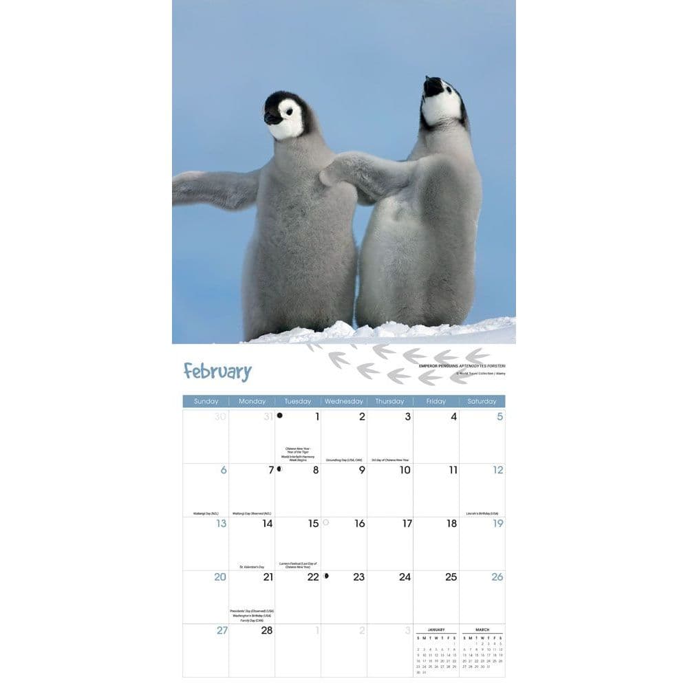 Penguin Schedule 2022 Penguins 2022 Wall Calendar - Calendars.com