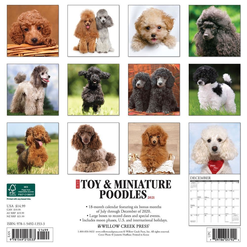Toy and Miniature Poodles Wall Calendar - Calendars.com