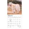 image Golden Retrievers 2027 Mini Wall Calendar Second Alternate Image