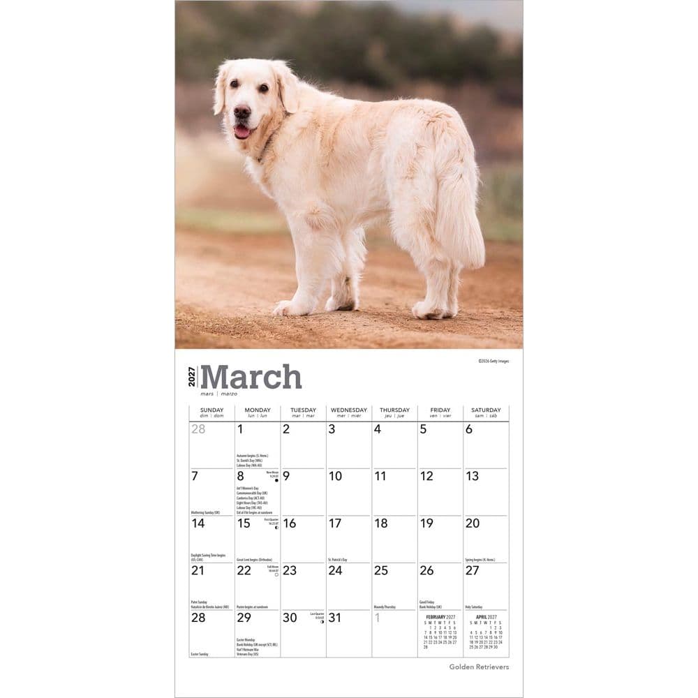 Golden Retrievers 2027 Mini Wall Calendar Second Alternate Image