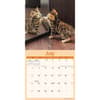 image Curious Kittens 2025 Mini Wall Calendar Third Alternate Image width=&quot;1000&quot; height=&quot;1000&quot;