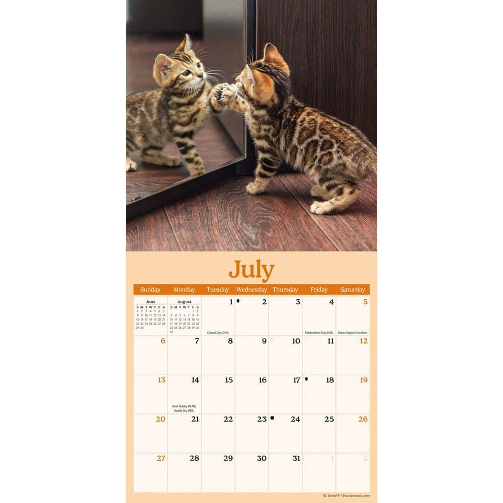 Curious Kittens 2025 Mini Wall Calendar Third Alternate Image width=&quot;1000&quot; height=&quot;1000&quot;