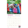 image Hangin With Sloths 2025 Wall Calendar First Alternate Image width="1000" height="1000"