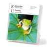 image Audubon Nature Gallery 2026 Desk Calendar Second Alternate Image
