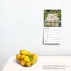 image Honey Bunny 2025 Mini Wall Calendar