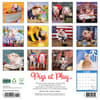 image Pigs At Play 2025 Wall Calendar