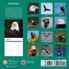 image Bald Eagles 2024 Wall Calendar First Alternate Image width=&quot;1000&quot; height=&quot;1000&quot;