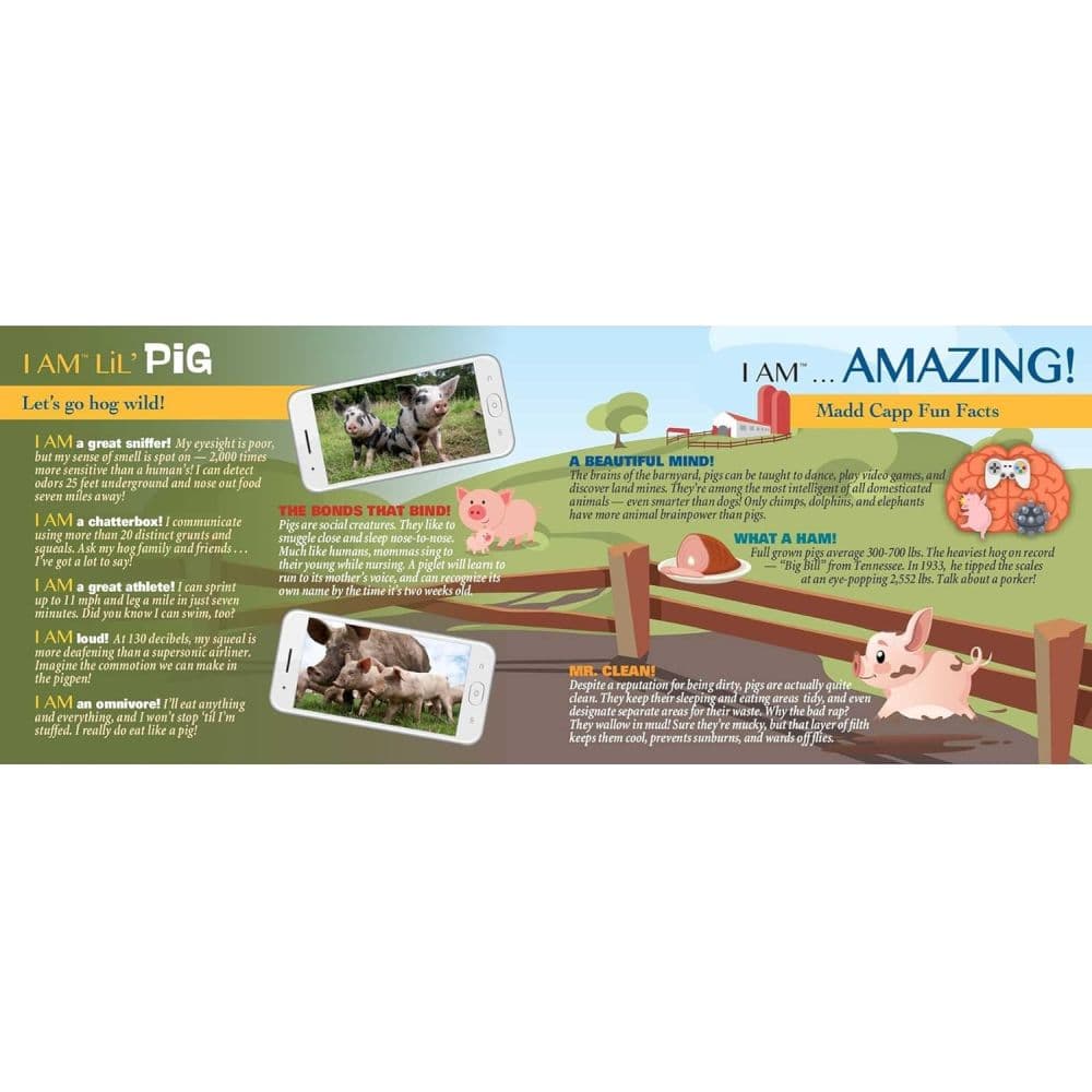 I Am Lil Pig 100 Piece Puzzle Third Alternate Image