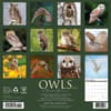 image Owls 2025 Wall Calendar First Alternate Image width=&quot;1000&quot; height=&quot;1000&quot;