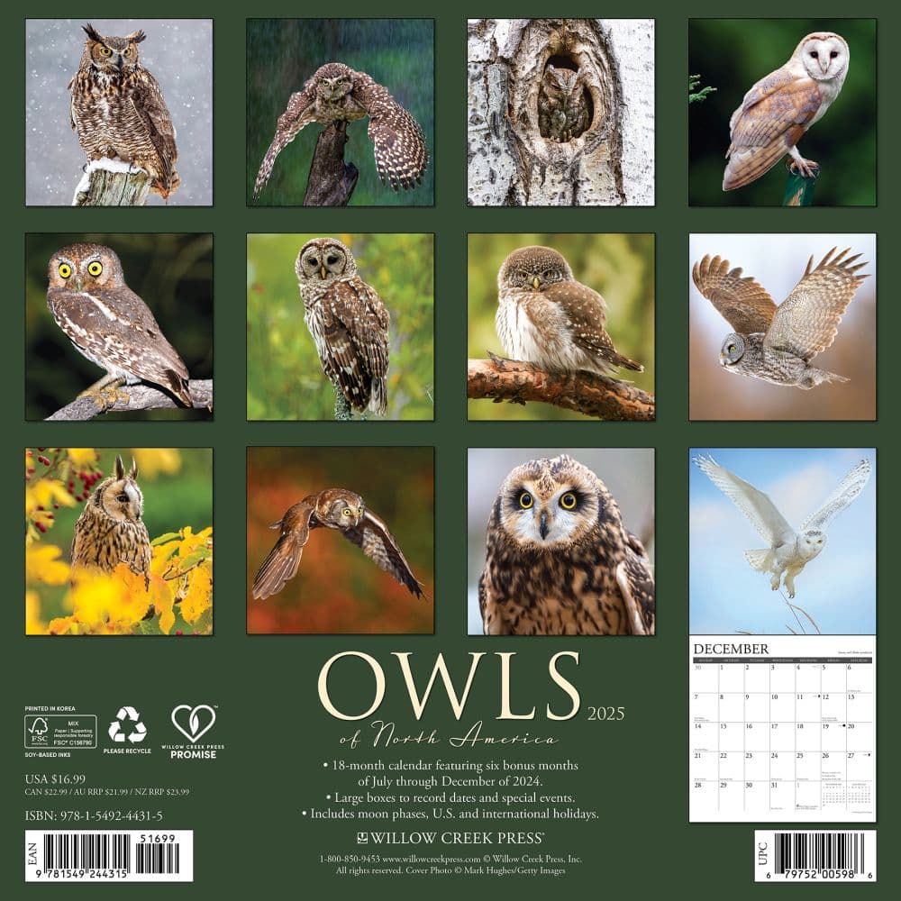 Owls 2025 Wall Calendar