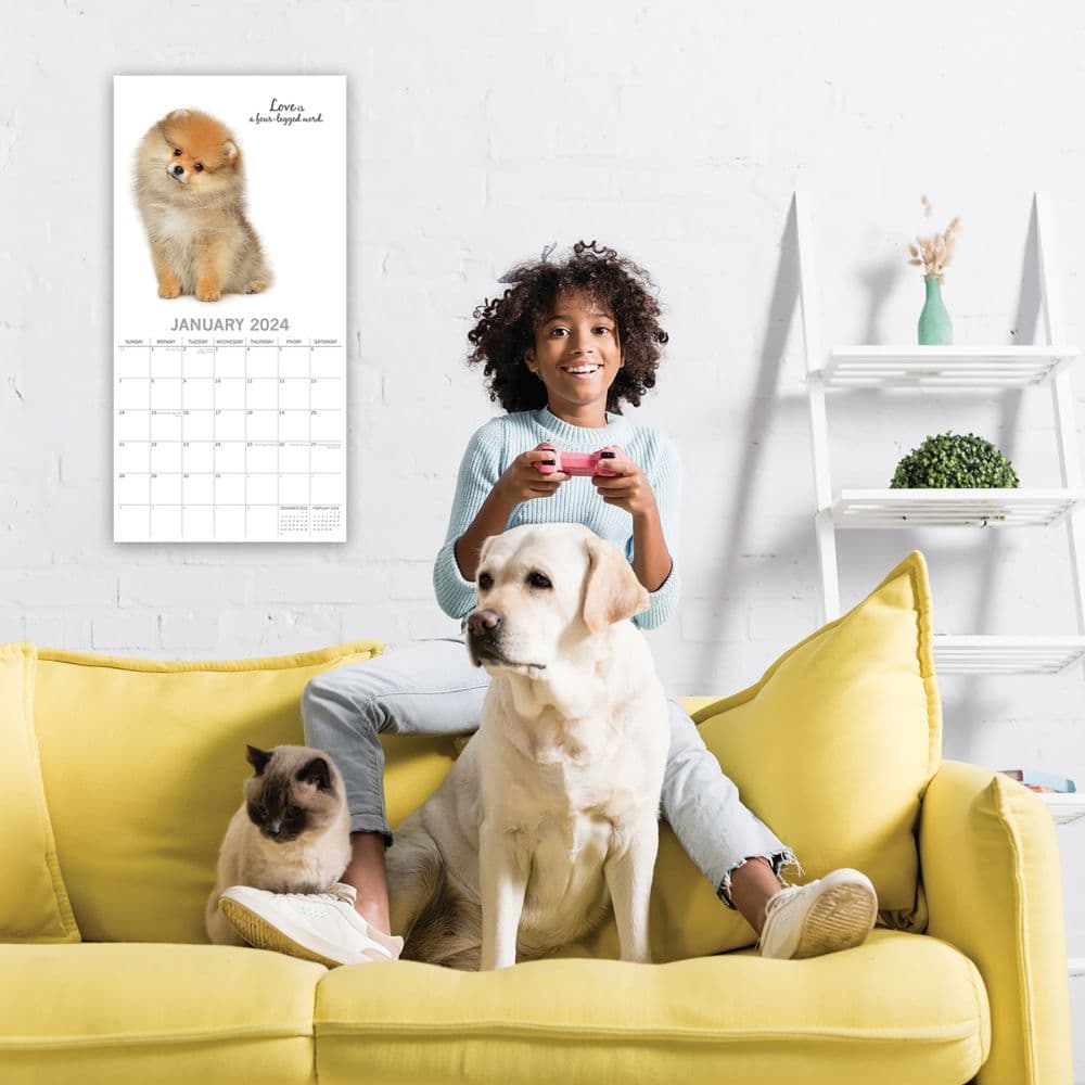 Adorable Dogs 2024 Wall Calendar Fourth Alternate Image width=&quot;1000&quot; height=&quot;1000&quot;