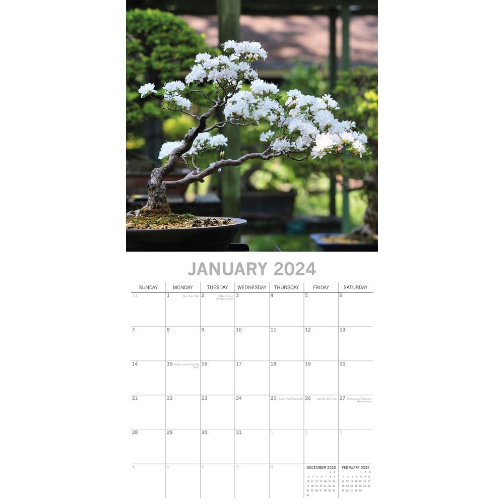 Bonsai 2024 Wall Calendar