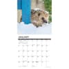 image Hedgehogs 2025 Wall Calendar Second Alternate Image width="1000" height="1000"