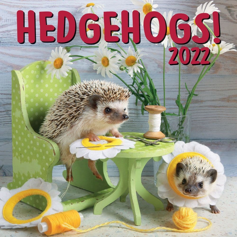 Hedgehogs 2022 Calendar