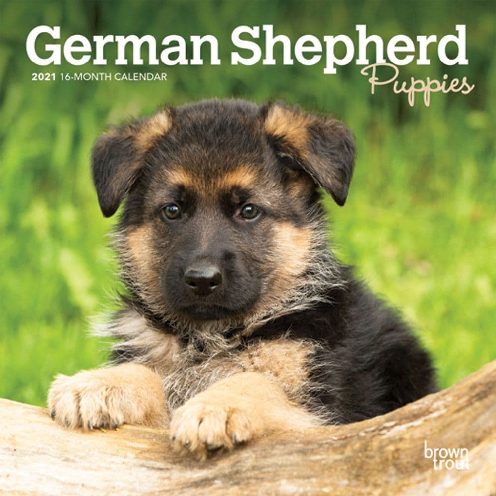 German Shepherd Puppies Mini Calendar - Calendars.com