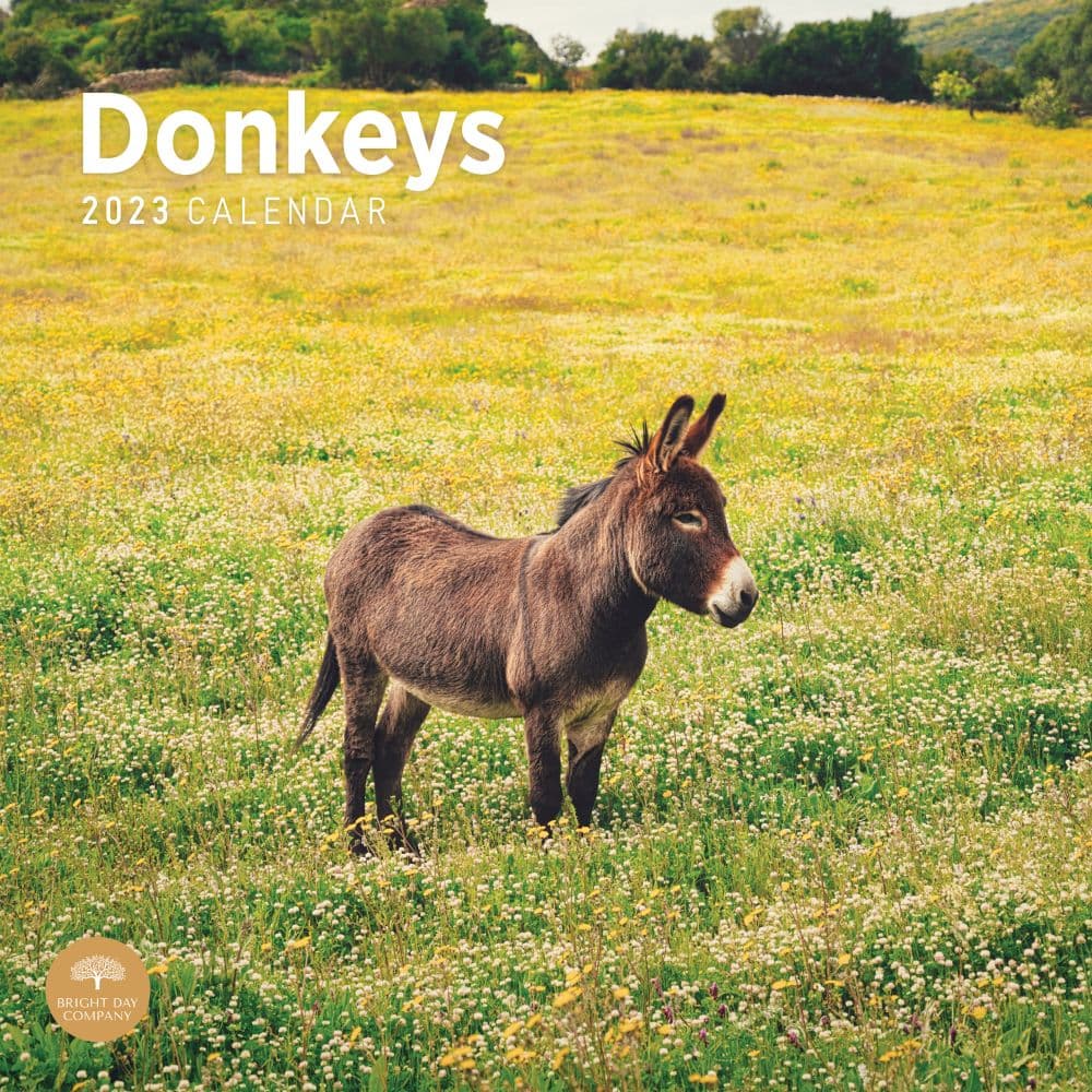 Donkeys-2023-Wall-Calendar - Calendars.com