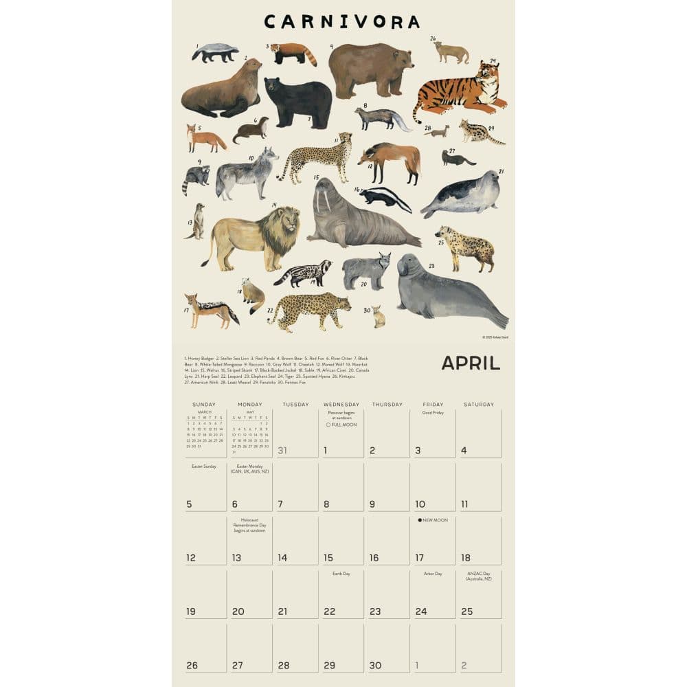 Illustrated Animal Kingdom 2026 Wall Calendar Third Alternate Image