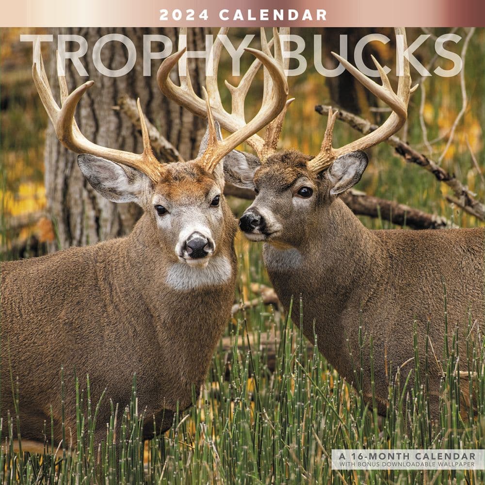 Trophy Bucks 2024 Wall Calendar Calendars Com   561c3d6c B660 4474 8823 43407e536c17