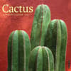 image Cactus 2025 Wall Calendar  Main Image