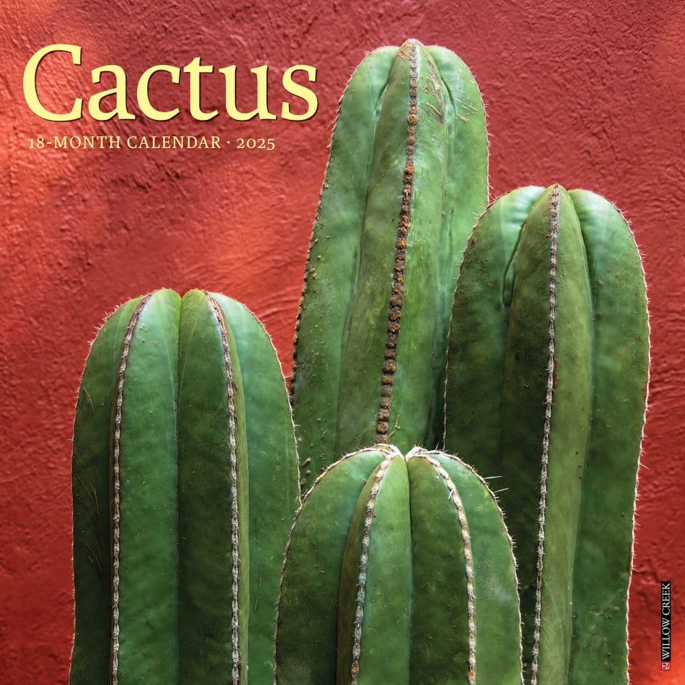 Cactus 2025 Wall Calendar  Main Image