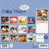 image Dog Naps 2026 Wall Calendar First Alternate Image