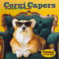 image Corgi Rules 2026 Wall Calendar Main Image