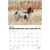 image Hunting Dogs and Upland Birds 2027 Wall Calendar Second Alternate Image