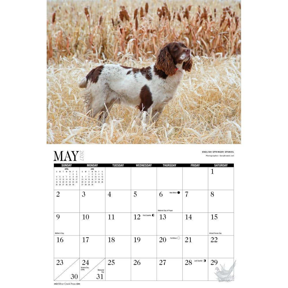 Hunting Dogs and Upland Birds 2027 Wall Calendar Second Alternate Image