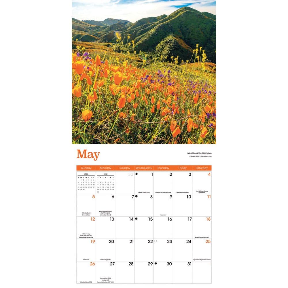 Seasons 2025 Wall Calendar