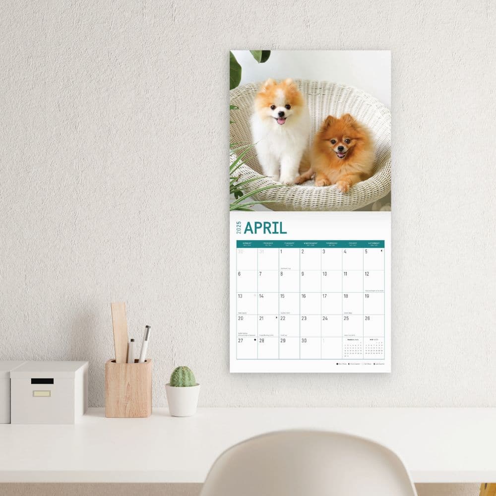 Pomeranian Puppies 2025 Wall Calendar Third Alternate Image width="1000" height="1000"