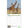 image Greenpeace 2025 Wall Calendar Third Alternate Image width=&quot;1000&quot; height=&quot;1000&quot;