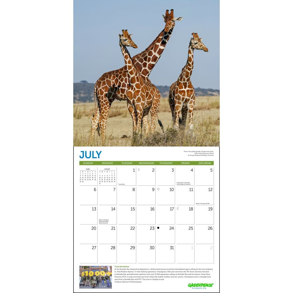 Greenpeace 2025 Wall Calendar Third Alternate Image width=&quot;1000&quot; height=&quot;1000&quot;