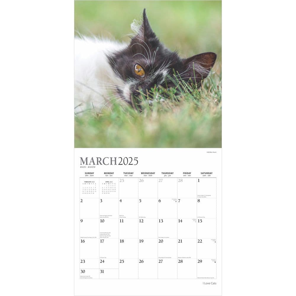 I Love Cats Plato 2025 Wall Calendar Second Alternate Image width=&quot;1000&quot; height=&quot;1000&quot;