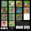 image Hummingbirds 2025 Wall Calendar First Alternate Image