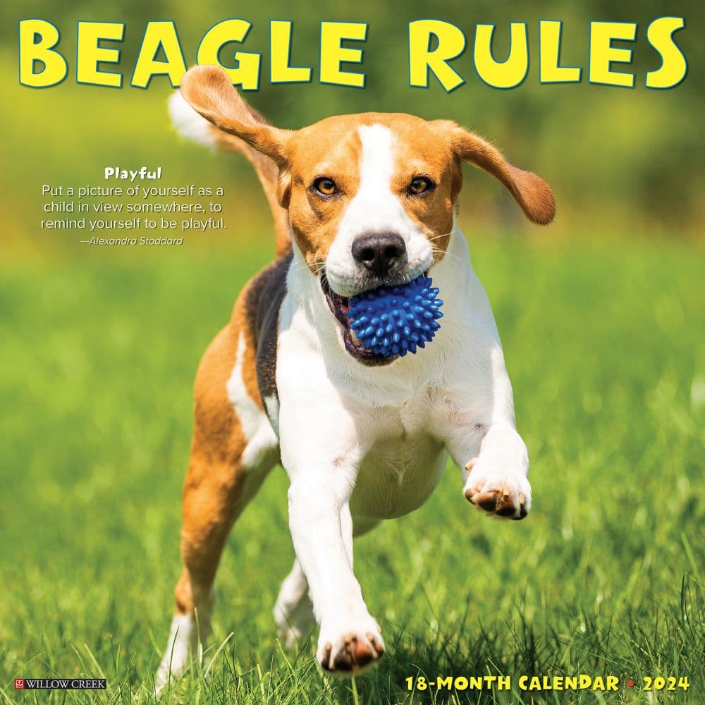 Beagle Rules 2024 Wall Calendar Main Image