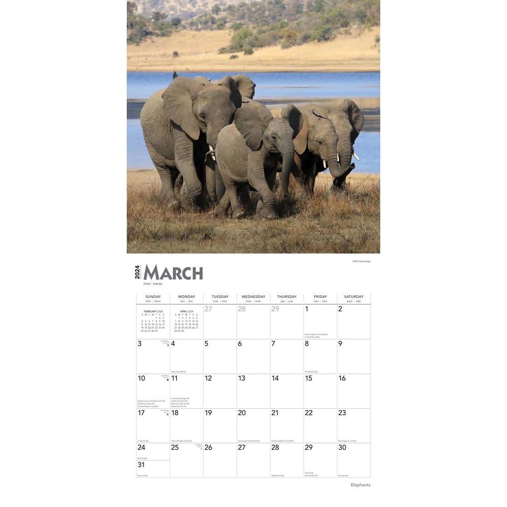 Elephants 2024 Wall Calendar Second Alternate Image width=&quot;1000&quot; height=&quot;1000&quot;