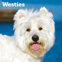 image Just Westies 2026 Wall Calendar Main Image